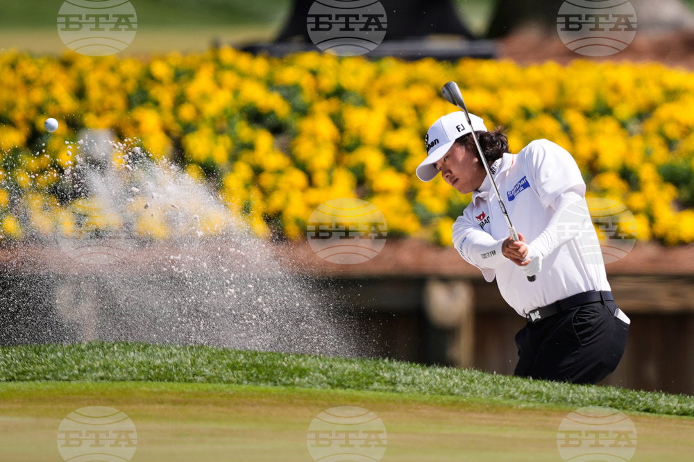 Players Championship Golf