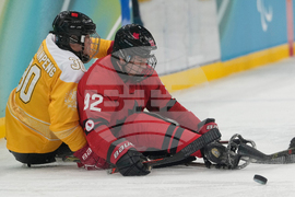 Milan Cortina Paralympics Ice Hockey