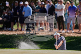 Players Championship Golf