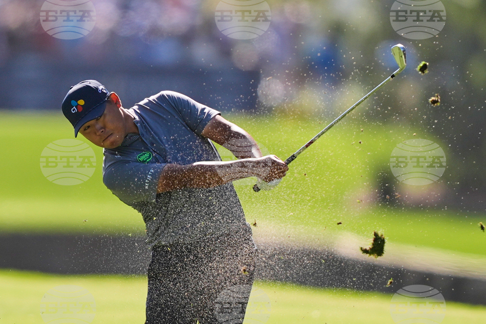 Players Championship Golf