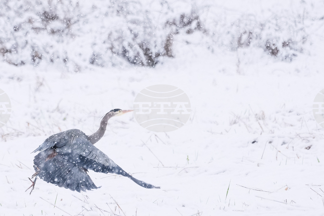 Washington Daily Life