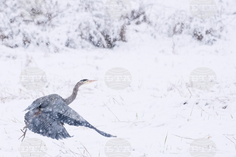 Washington Daily Life