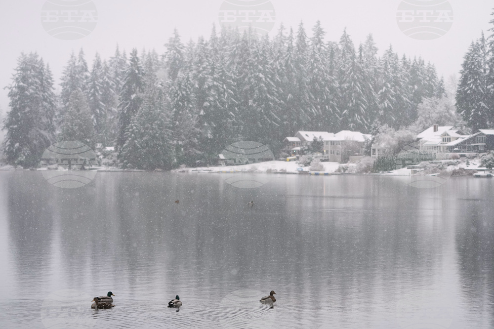 Washington Daily Life