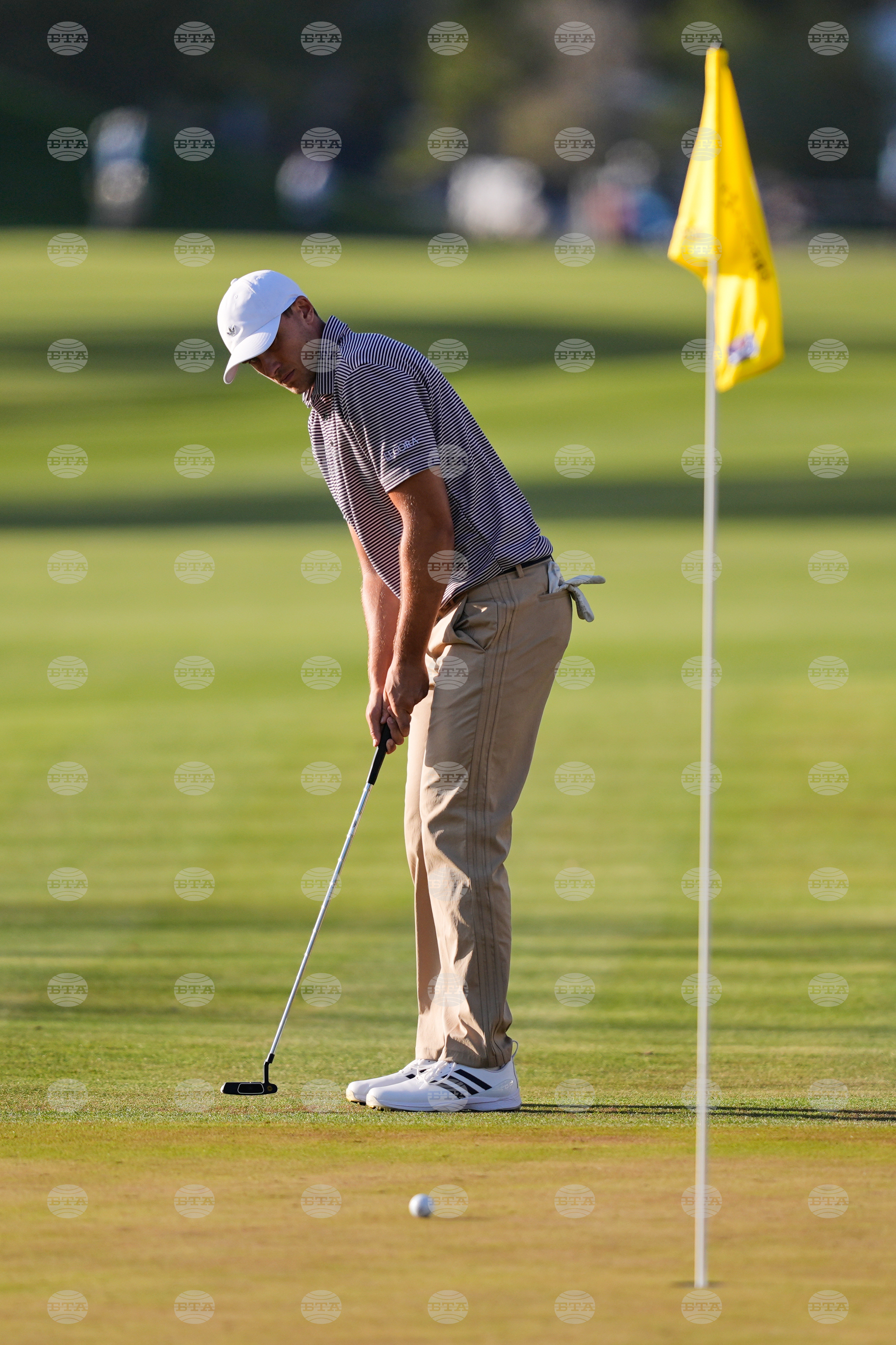 Players Championship Golf