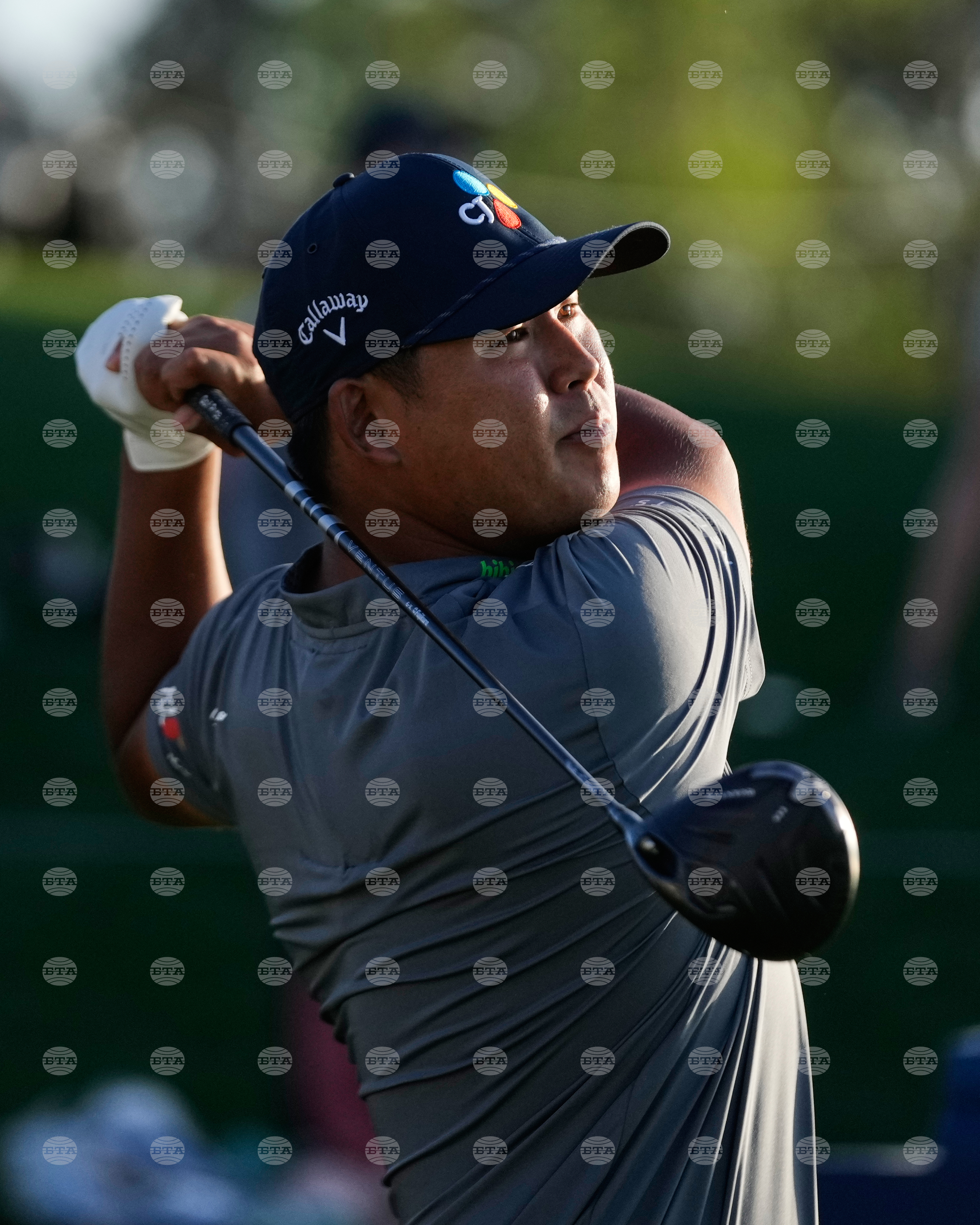 Players Championship Golf