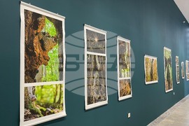 Казанлък - „Един живот" - „Отблизо" - фотоизложби