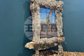 Казанлък - „Един живот" - „Отблизо" - фотоизложби