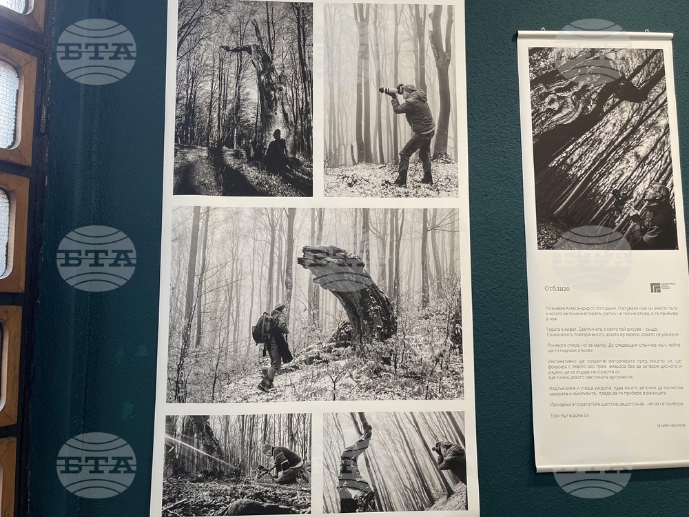 Казанлък - „Един живот" - „Отблизо" - фотоизложби