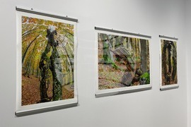 Казанлък - „Един живот" - „Отблизо" - фотоизложби