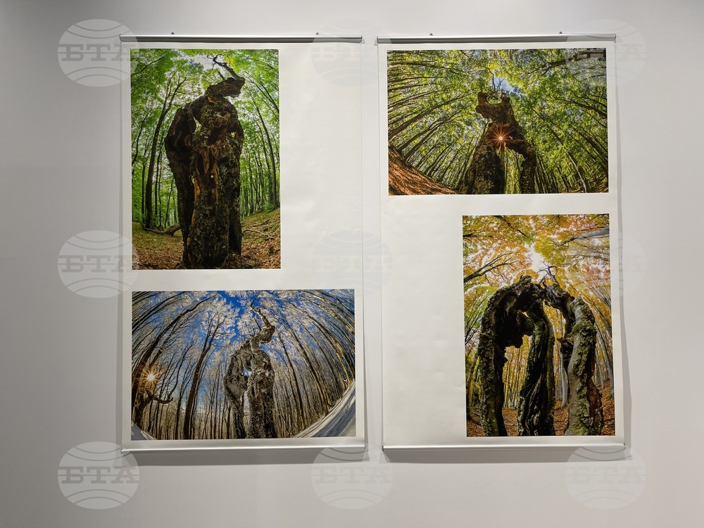 Казанлък - „Един живот" - „Отблизо" - фотоизложби