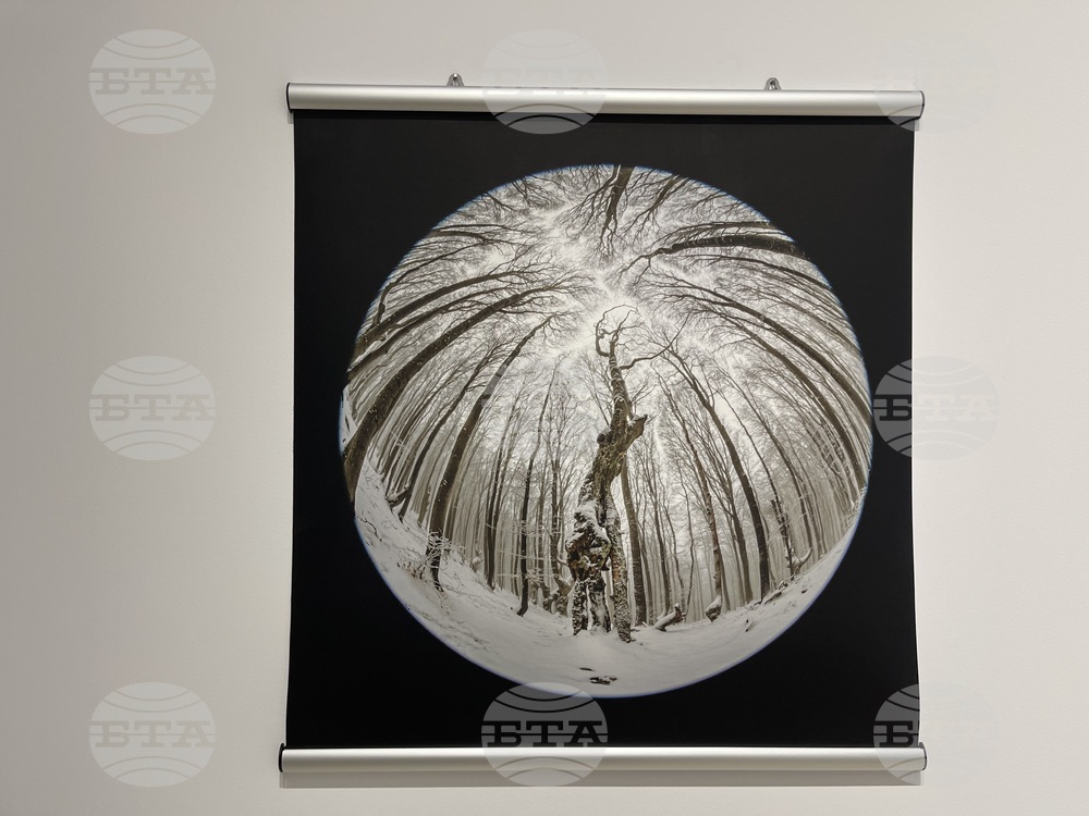 Казанлък - „Един живот" - „Отблизо" - фотоизложби