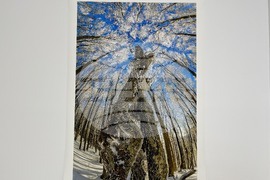 Казанлък - „Един живот" - „Отблизо" - фотоизложби