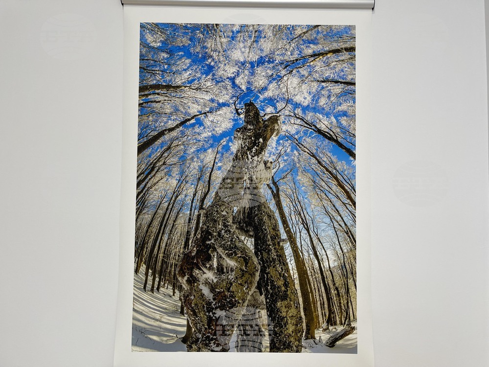 Казанлък - „Един живот" - „Отблизо" - фотоизложби