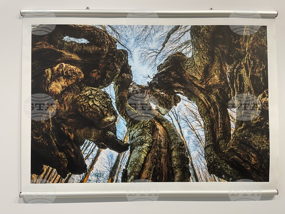 Казанлък - „Един живот" - „Отблизо" - фотоизложби