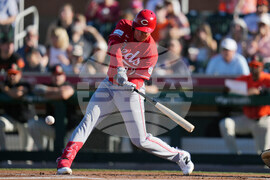 Reds Giants Spring Baseball