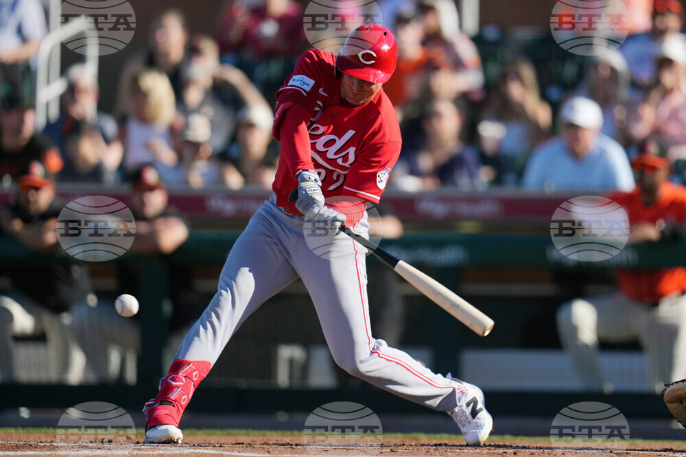 Reds Giants Spring Baseball