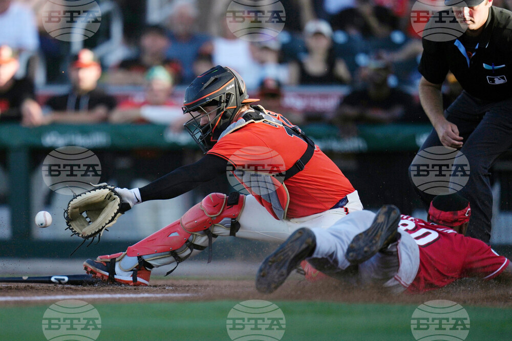Reds Giants Spring Baseball