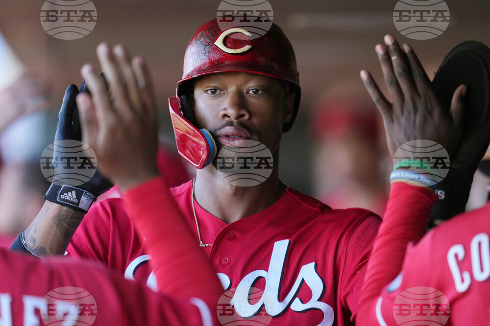 Reds Giants Spring Baseball