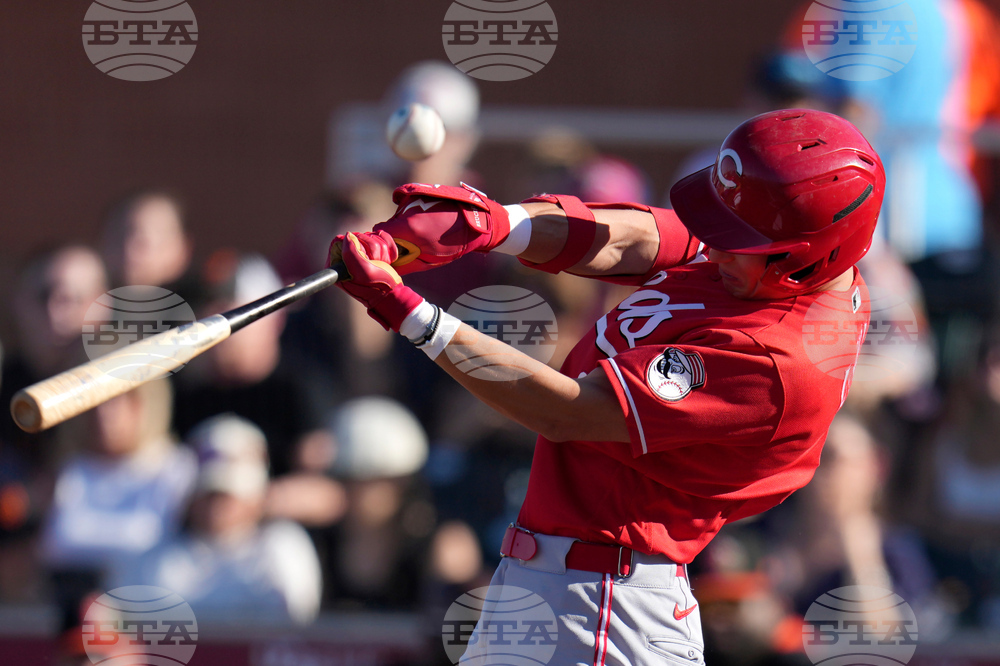 Reds Giants Spring Baseball
