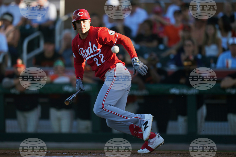 Reds Giants Spring Baseball