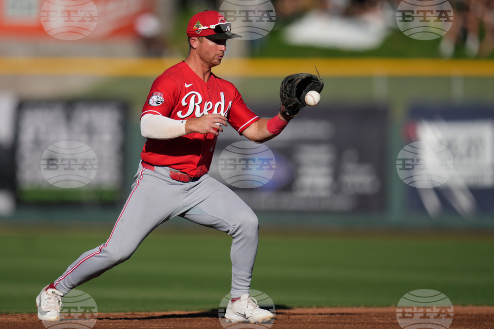 Reds Giants Spring Baseball