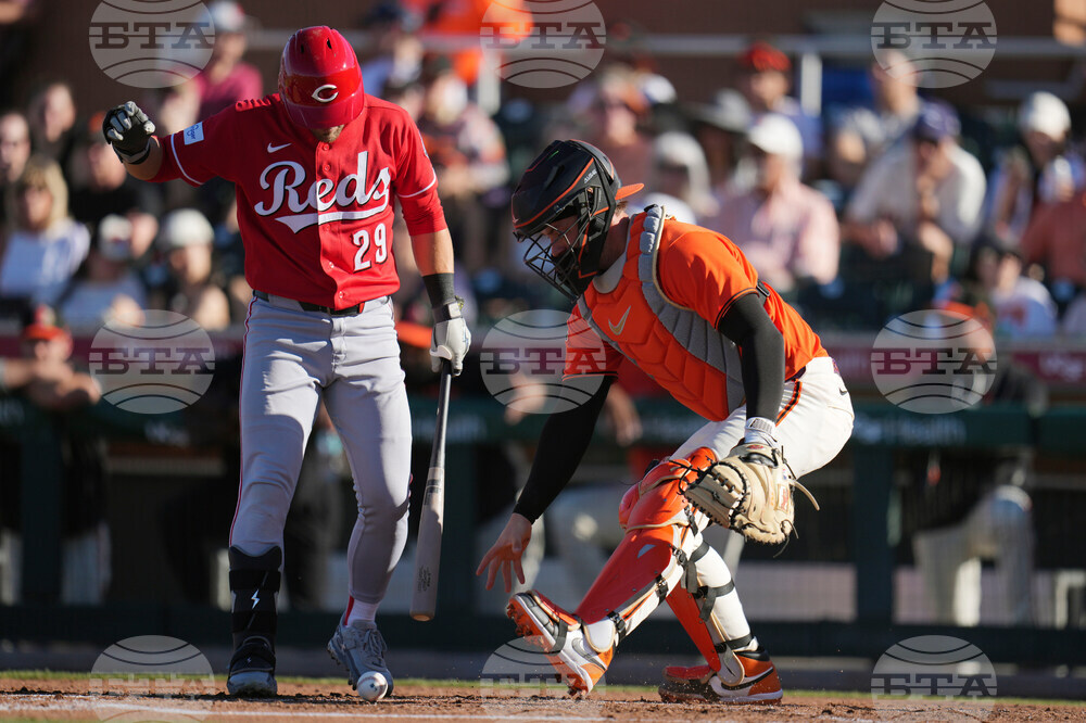Reds Giants Spring Baseball
