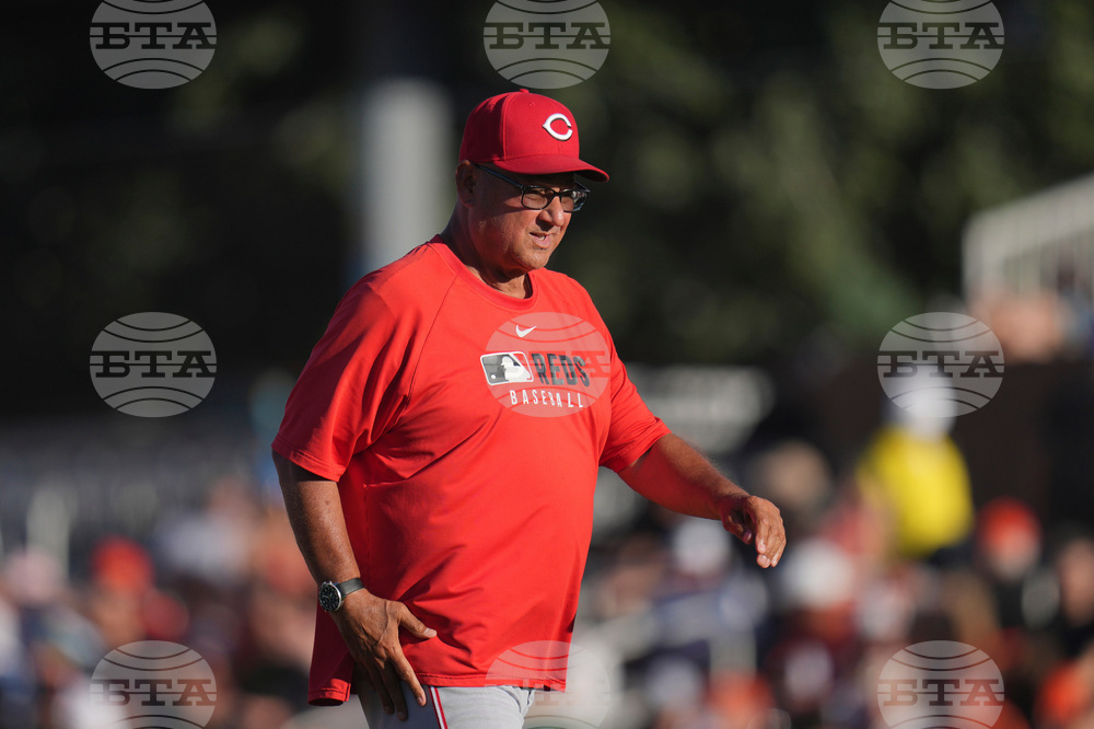 Reds Giants Spring Baseball