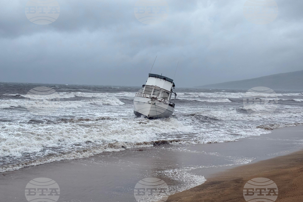 Climate-Wild Weather