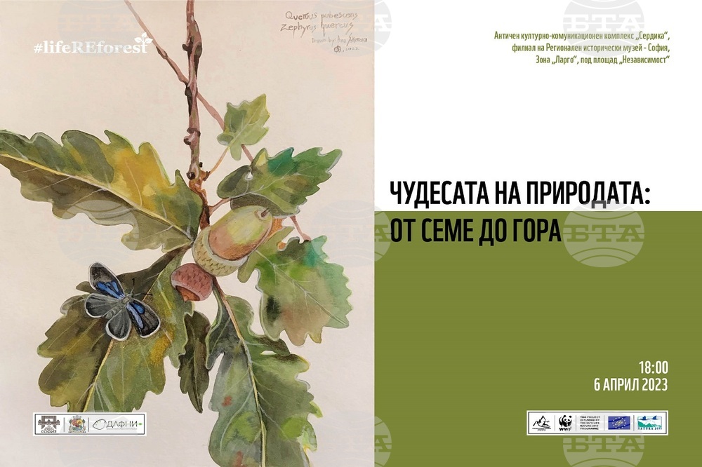Изложба показва процеса на зараждане на гората