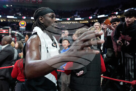 Jazz Trail Blazers Basketball