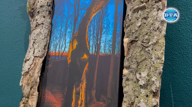 Изложбите „Един живот“ и „Отблизо“, подредени в Художествената галерия в Казанлък, представят двете страни на една фотоизповед