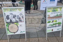 Плевен - информационна кампания - залесяване