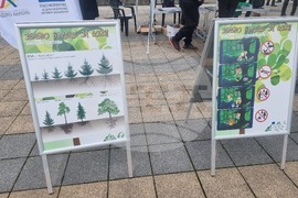 Плевен - информационна кампания - залесяване