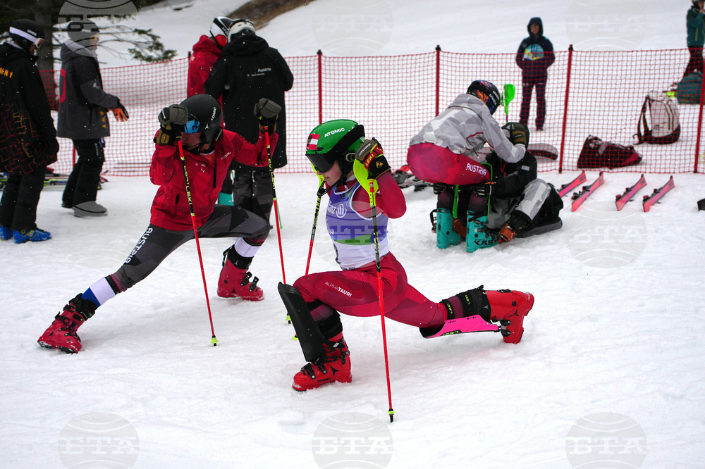 Milan Cortina Paralympics Alpine Skiing