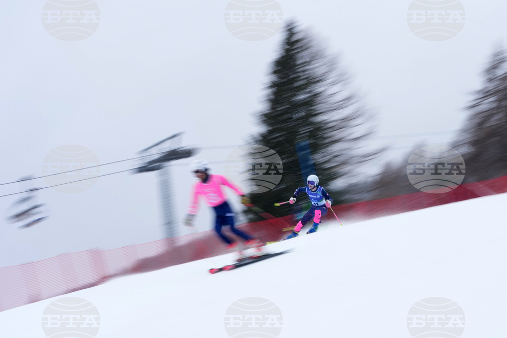 Milan Cortina Paralympics Alpine Skiing