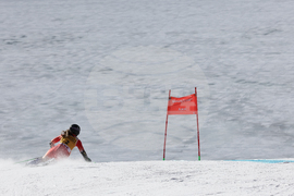 Sweden World Cup Alpine Skiing