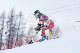 Milan Cortina Paralympics Alpine Skiing