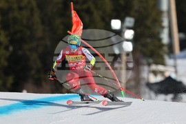 Sweden World Cup Alpine Skiing