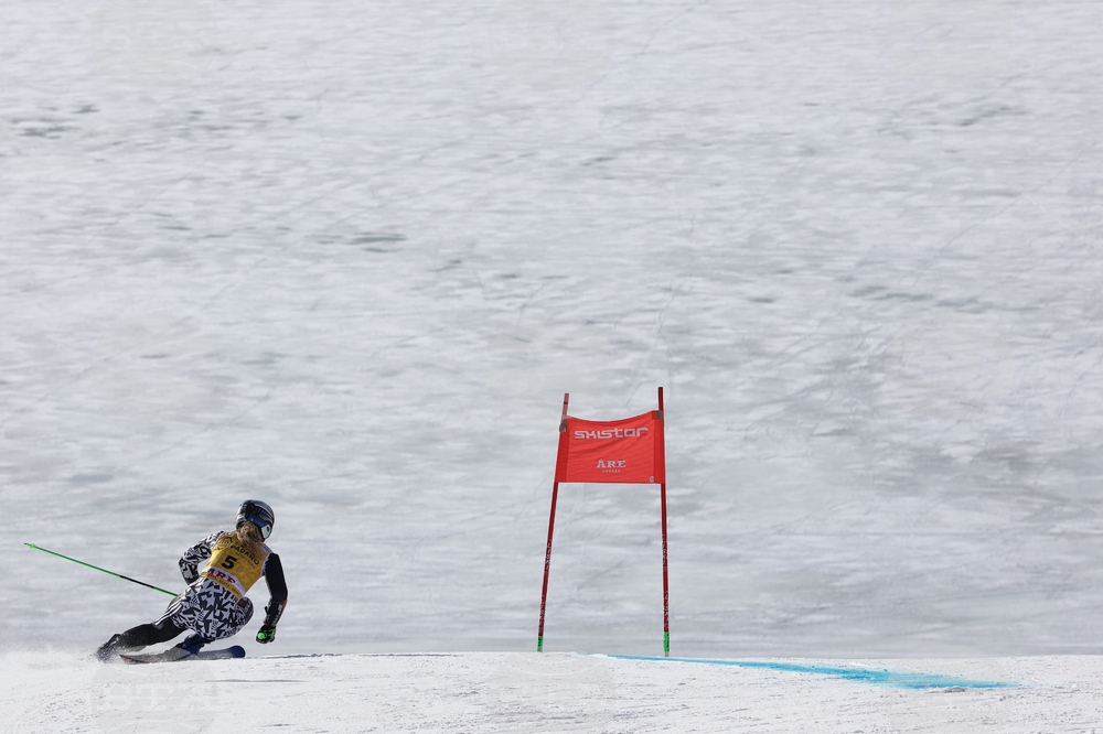 Sweden World Cup Alpine Skiing