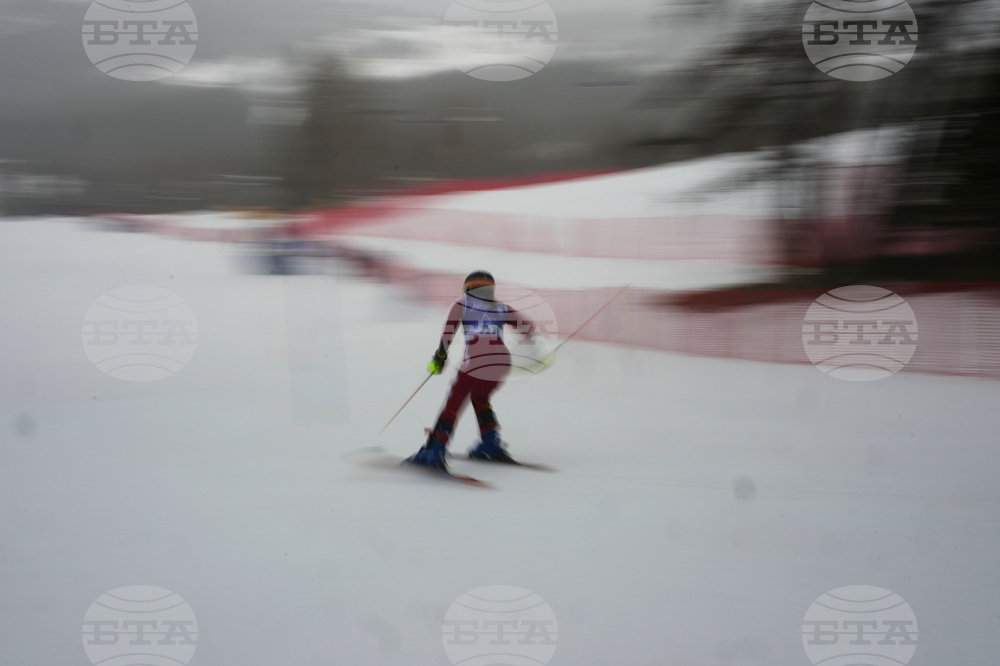 Milan Cortina Paralympics Alpine Skiing