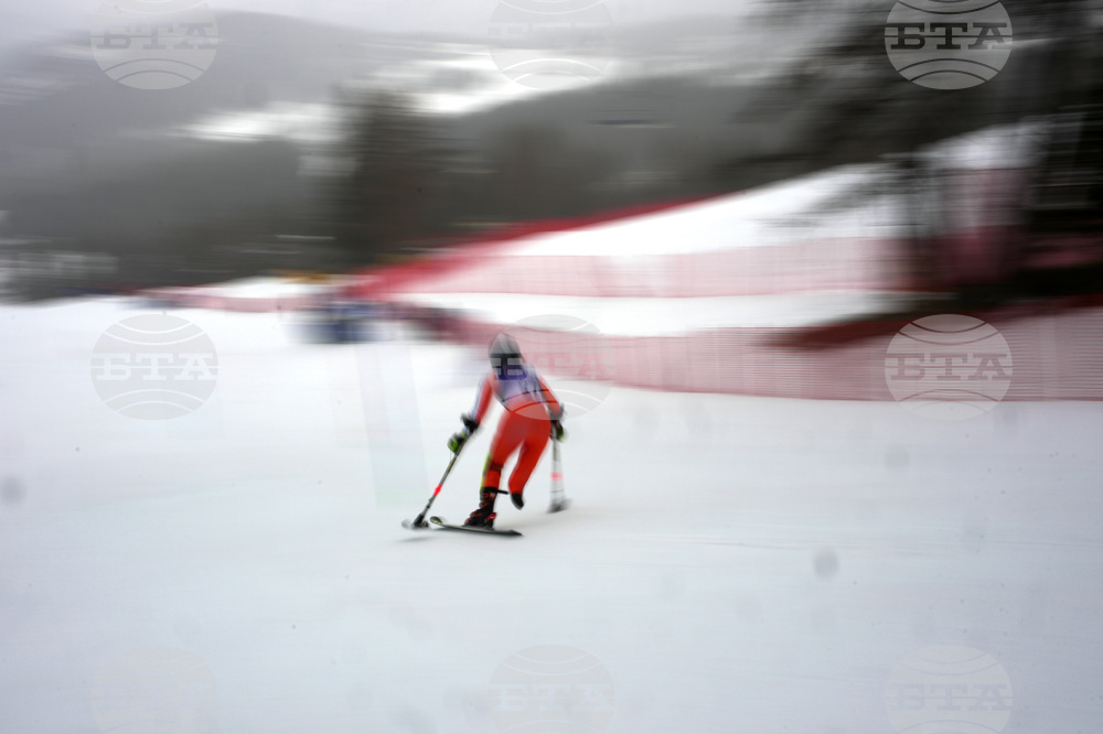 Milan Cortina Paralympics Alpine Skiing