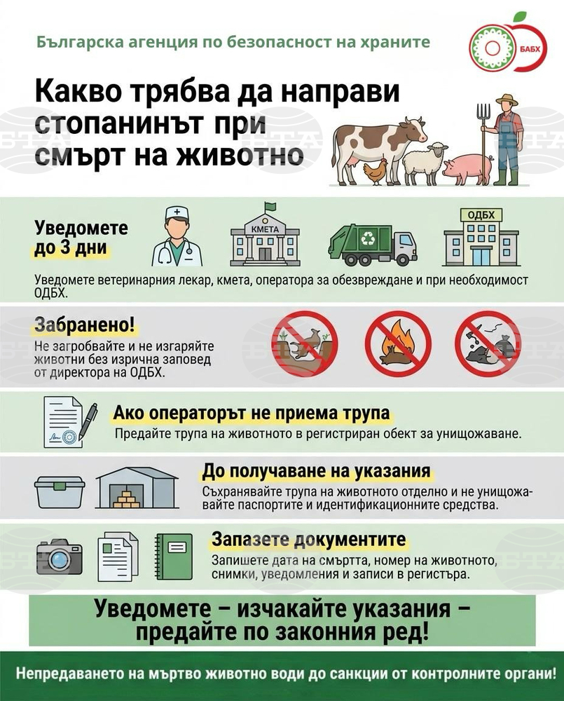 Какви са стъпките при смърт на животно в земеделско стопанство, разясни БАБХ
