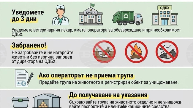 Какви са стъпките при смърт на животно в земеделско стопанство, разясни БАБХ