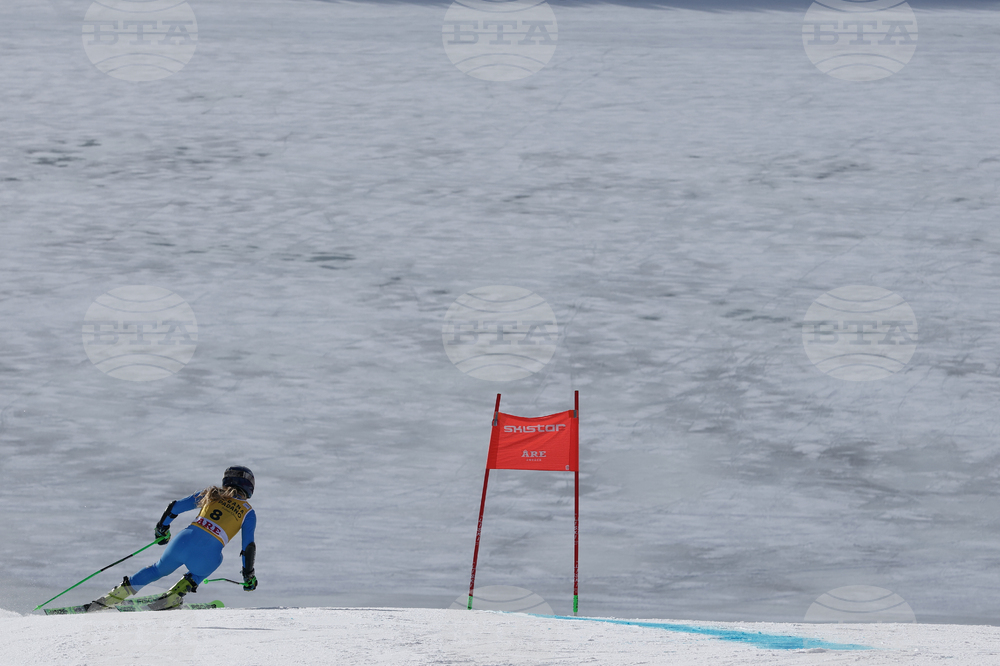 Sweden World Cup Alpine Skiing