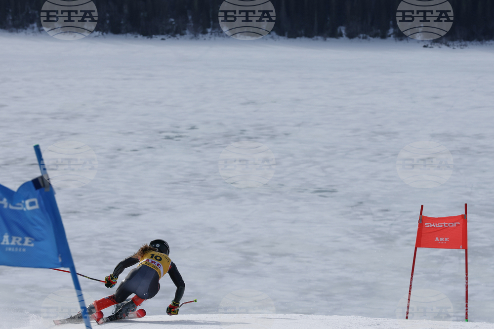 Sweden World Cup Alpine Skiing