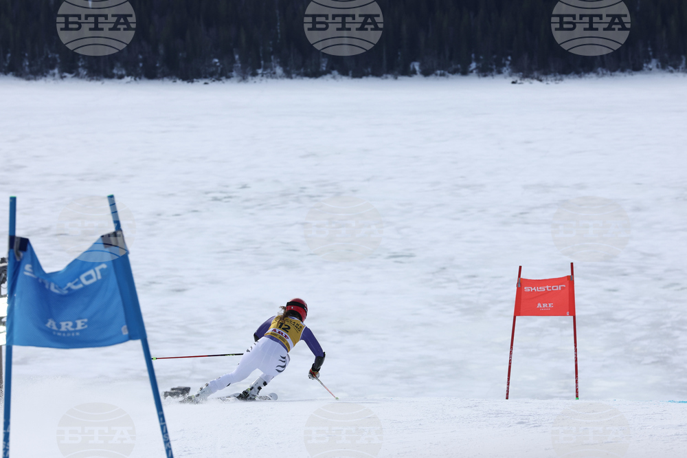 Sweden World Cup Alpine Skiing