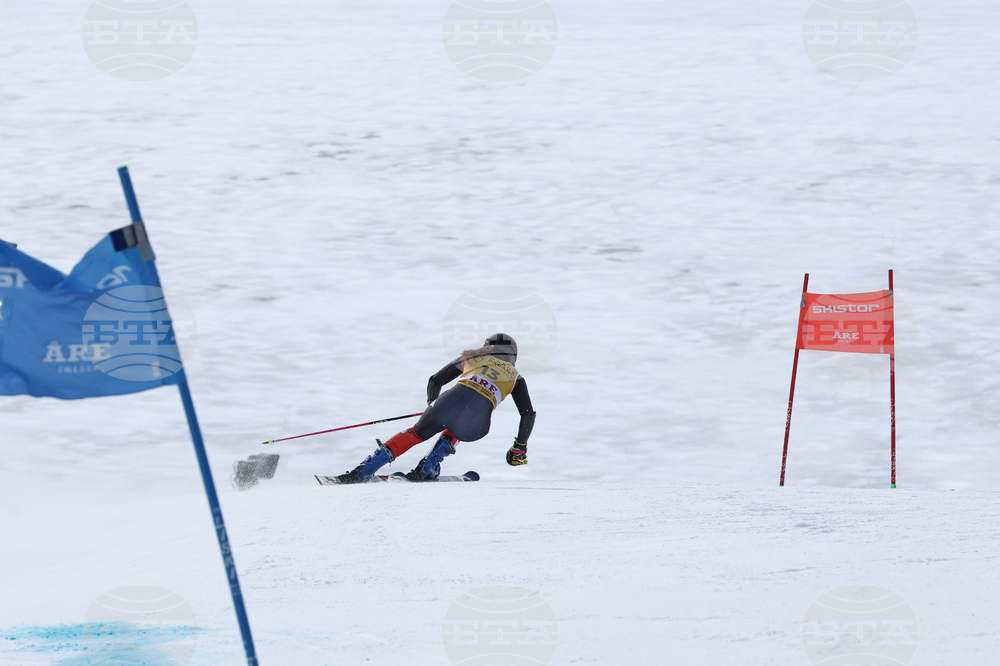 Sweden World Cup Alpine Skiing