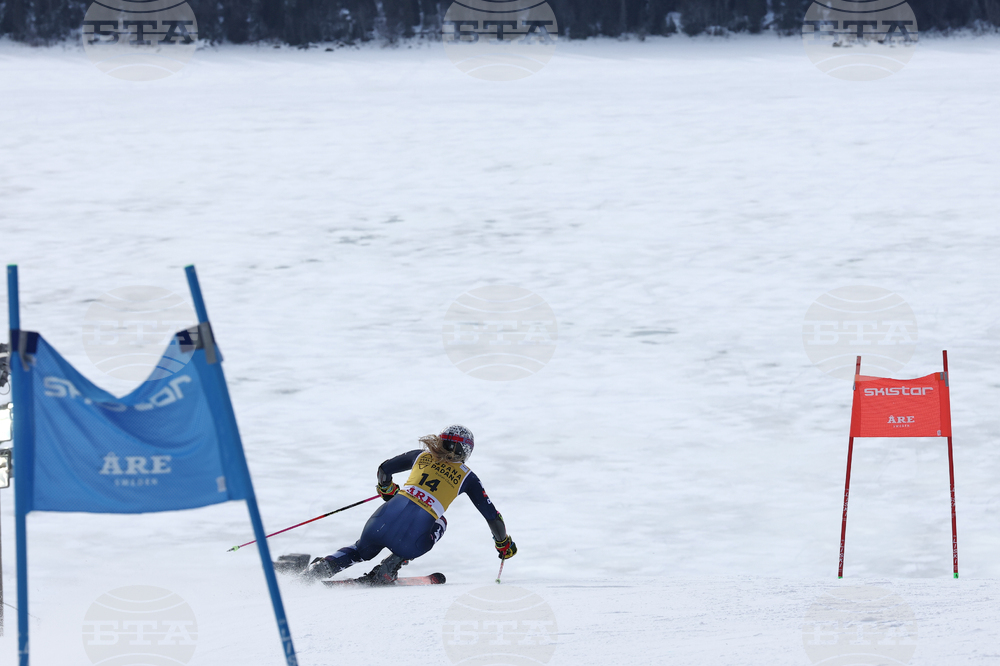 Sweden World Cup Alpine Skiing