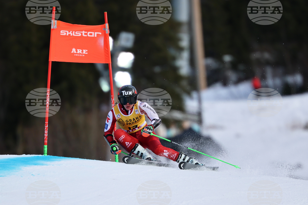 Sweden World Cup Alpine Skiing