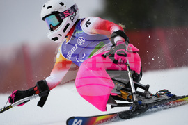 Milan Cortina Paralympics Alpine Skiing